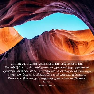Picture 03 - எஸ்தர் 6:11 TAMIRV - அப்படியே ஆமான் - Bible Verse Picture