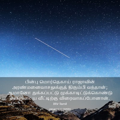 Picture 03 - எஸ்தர் 6:12 TAMIRV - பின்பு மொர்தெகாய் - Bible Verse Picture