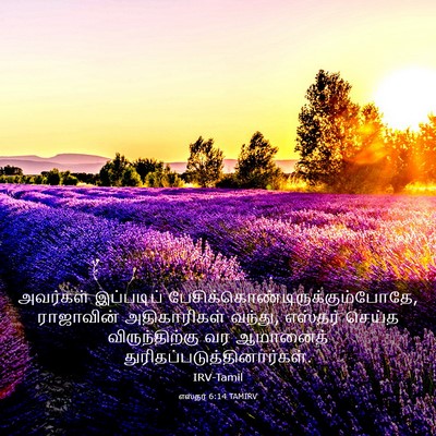 Picture 03 - எஸ்தர் 6:14 TAMIRV - அவர்கள் இப்படிப் - Bible Verse Picture