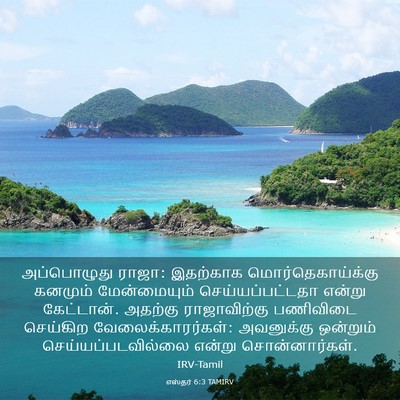 Picture 03 - எஸ்தர் 6:3 TAMIRV - அப்பொழுது ராஜா: - Bible Verse Picture