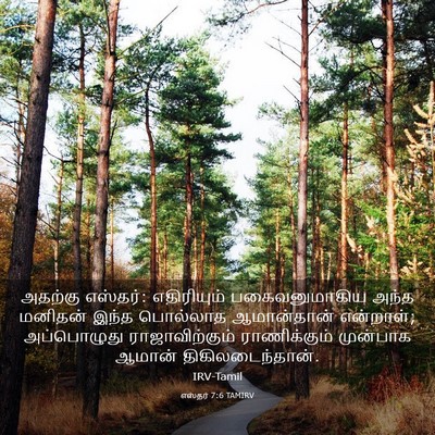 Picture 03 - எஸ்தர் 7:6 TAMIRV - அதற்கு எஸ்தர்: - Bible Verse Picture