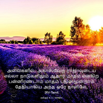 Picture 03 - எஸ்தர் 8:11 TAMIRV - அவைகளில், - Bible Verse Picture