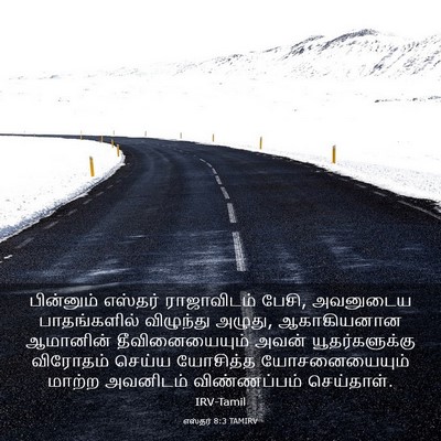 Picture 03 - எஸ்தர் 8:3 TAMIRV - பின்னும் எஸ்தர் - Bible Verse Picture