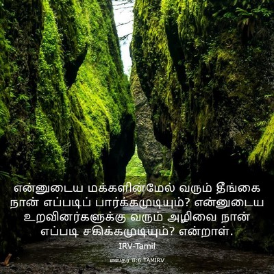 Picture 03 - எஸ்தர் 8:6 TAMIRV - என்னுடைய - Bible Verse Picture