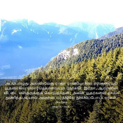 Picture 03 - எஸ்தர் 8:7 TAMIRV - அப்பொழுது - Bible Verse Picture
