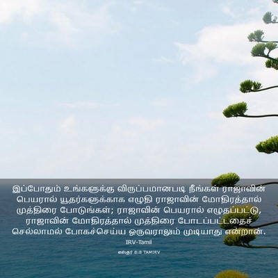 Picture 03 - எஸ்தர் 8:8 TAMIRV - இப்போதும் - Bible Verse Picture