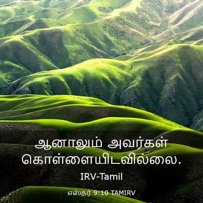Picture 03 - எஸ்தர் 9:10 TAMIRV - ஆனாலும் அவர்கள் - Bible Verse Picture