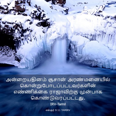 Picture 03 - எஸ்தர் 9:11 TAMIRV - அன்றையதினம் - Bible Verse Picture