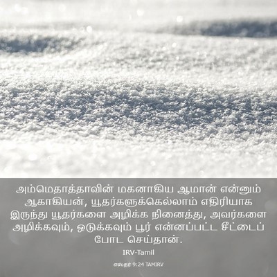 Picture 03 - எஸ்தர் 9:24 TAMIRV - அம்மெதாத்தாவின் - Bible Verse Picture
