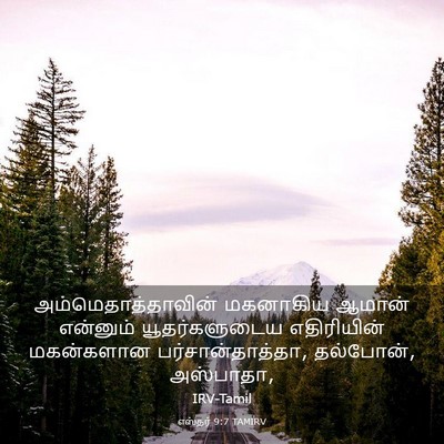 Picture 03 - எஸ்தர் 9:7 TAMIRV - அம்மெதாத்தாவின் - Bible Verse Picture