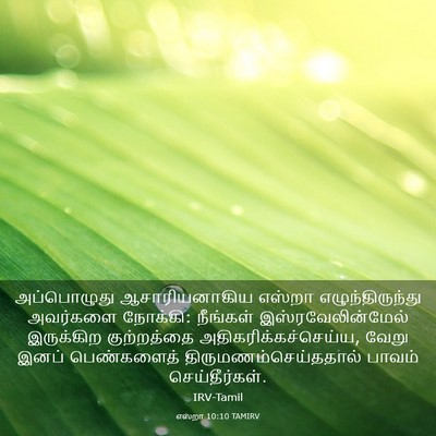 Picture 03 - எஸ்றா 10:10 TAMIRV - அப்பொழுது - Bible Verse Picture