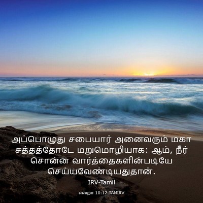 Picture 03 - எஸ்றா 10:12 TAMIRV - அப்பொழுது சபையார் - Bible Verse Picture