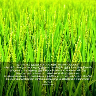 Picture 03 - எஸ்றா 10:14 TAMIRV - ஆகையால் இதற்கு - Bible Verse Picture