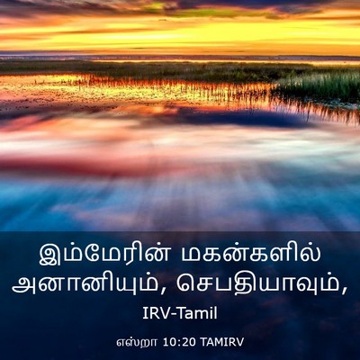 Picture 03 - எஸ்றா 10:20 TAMIRV - இம்மேரின் - Bible Verse Picture