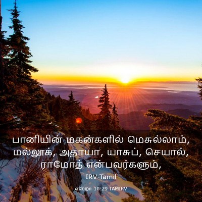 Picture 03 - எஸ்றா 10:29 TAMIRV - பானியின் - Bible Verse Picture