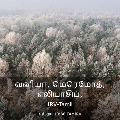 Picture 03 - எஸ்றா 10:36 TAMIRV - வனியா, மெரெமோத், - Bible Verse Picture
