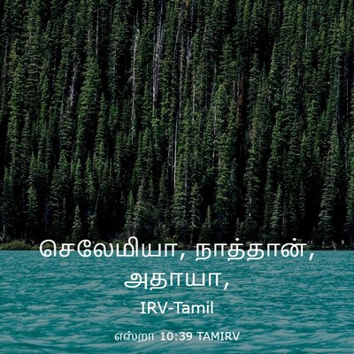 Picture 03 - எஸ்றா 10:39 TAMIRV - செலேமியா, - Bible Verse Picture
