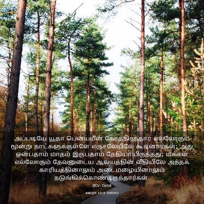 Picture 03 - எஸ்றா 10:9 TAMIRV - அப்படியே யூதா - Bible Verse Picture