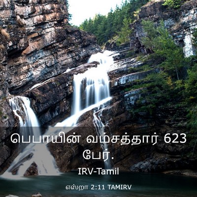 Picture 03 - எஸ்றா 2:11 TAMIRV - பெபாயின் - Bible Verse Picture