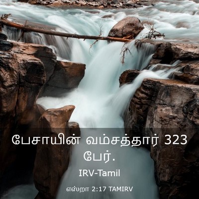 Picture 03 - எஸ்றா 2:17 TAMIRV - பேசாயின் - Bible Verse Picture