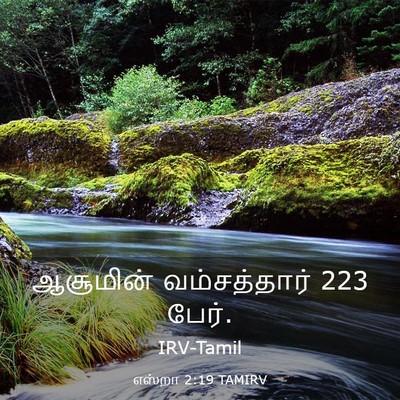 Picture 03 - எஸ்றா 2:19 TAMIRV - ஆசூமின் - Bible Verse Picture