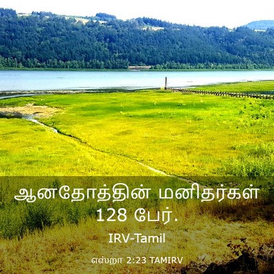 Picture 03 - எஸ்றா 2:23 TAMIRV - ஆனதோத்தின் - Bible Verse Picture