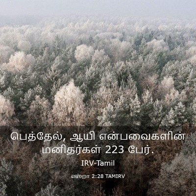 Picture 03 - எஸ்றா 2:28 TAMIRV - பெத்தேல், ஆயி - Bible Verse Picture