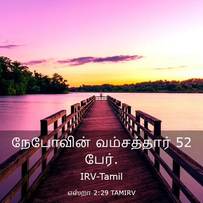 Picture 03 - எஸ்றா 2:29 TAMIRV - நேபோவின் - Bible Verse Picture