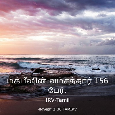 Picture 03 - எஸ்றா 2:30 TAMIRV - மக்பீஷின் - Bible Verse Picture