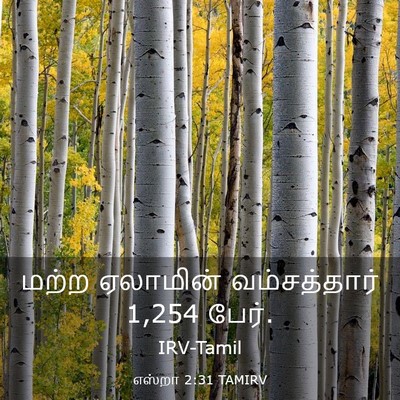 Picture 03 - எஸ்றா 2:31 TAMIRV - மற்ற ஏலாமின் - Bible Verse Picture