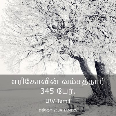 Picture 03 - எஸ்றா 2:34 TAMIRV - எரிகோவின் - Bible Verse Picture