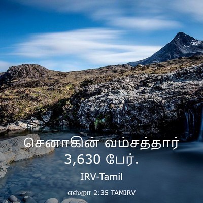 Picture 03 - எஸ்றா 2:35 TAMIRV - செனாகின் - Bible Verse Picture