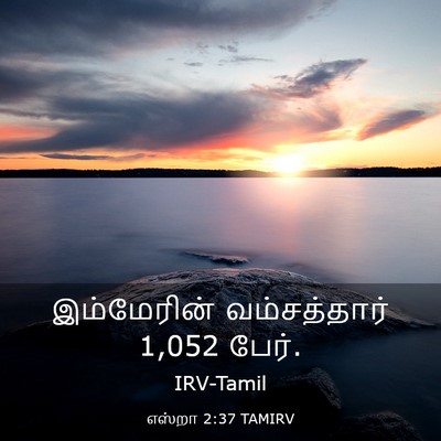 Picture 03 - எஸ்றா 2:37 TAMIRV - இம்மேரின் - Bible Verse Picture
