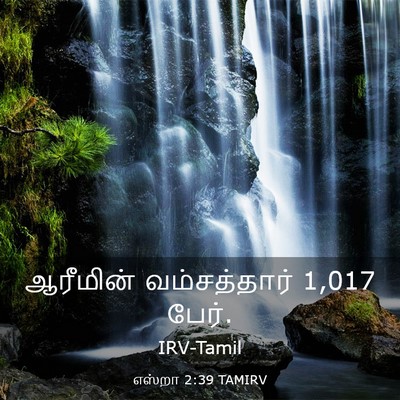 Picture 03 - எஸ்றா 2:39 TAMIRV - ஆரீமின் - Bible Verse Picture