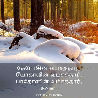 Picture 03 - எஸ்றா 2:44 TAMIRV - கேரோசின் - Bible Verse Picture