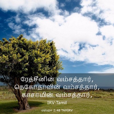 Picture 03 - எஸ்றா 2:48 TAMIRV - ரேத்சீனின் - Bible Verse Picture