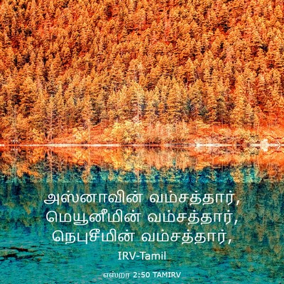 Picture 03 - எஸ்றா 2:50 TAMIRV - அஸ்னாவின் - Bible Verse Picture
