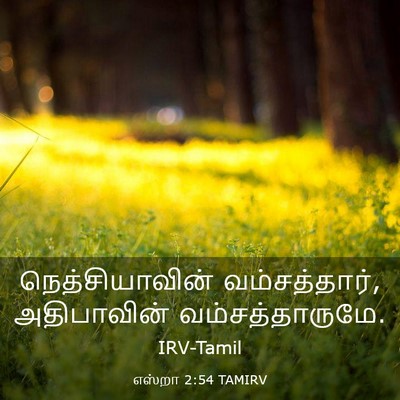 Picture 03 - எஸ்றா 2:54 TAMIRV - நெத்சியாவின் - Bible Verse Picture