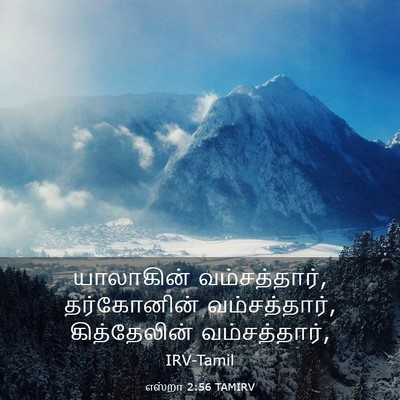 Picture 03 - எஸ்றா 2:56 TAMIRV - யாலாகின் - Bible Verse Picture