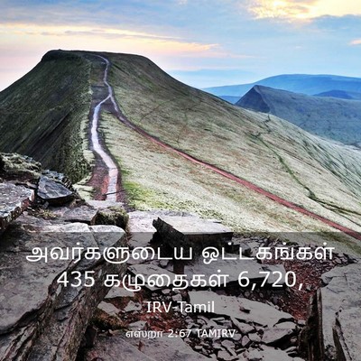 Picture 03 - எஸ்றா 2:67 TAMIRV - அவர்களுடைய - Bible Verse Picture