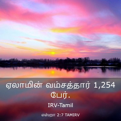 Picture 03 - எஸ்றா 2:7 TAMIRV - ஏலாமின் - Bible Verse Picture