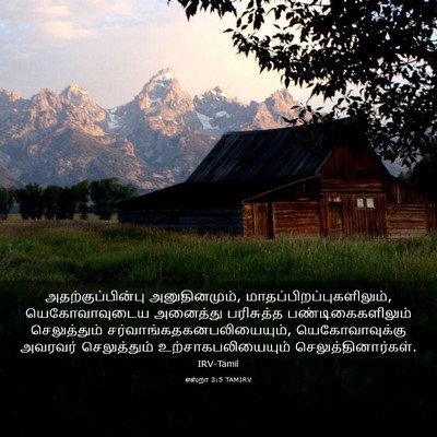 Picture 03 - எஸ்றா 3:5 TAMIRV - அதற்குப்பின்பு - Bible Verse Picture