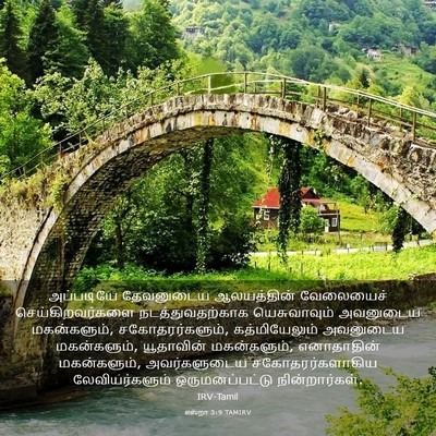 Picture 03 - எஸ்றா 3:9 TAMIRV - அப்படியே தேவனுடைய - Bible Verse Picture