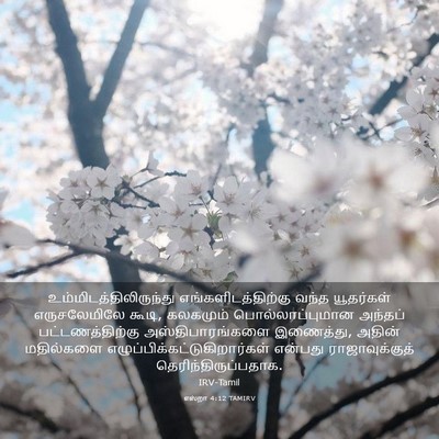 Picture 03 - எஸ்றா 4:12 TAMIRV -  - Bible Verse Picture