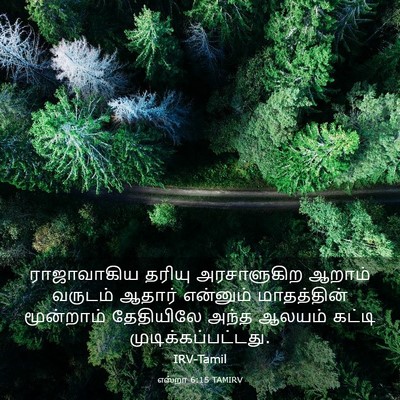 Picture 03 - எஸ்றா 6:15 TAMIRV - ராஜாவாகிய தரியு - Bible Verse Picture