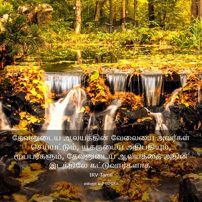 Picture 03 - எஸ்றா 6:7 TAMIRV - தேவனுடைய - Bible Verse Picture