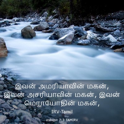 Picture 03 - எஸ்றா 7:3 TAMIRV - இவன் அமரியாவின் - Bible Verse Picture