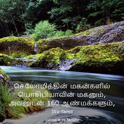 Picture 03 - எஸ்றா 8:10 TAMIRV - செலோமித்தின் - Bible Verse Picture