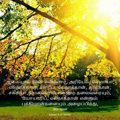 Picture 03 - எஸ்றா 8:16 TAMIRV - ஆகையால் நான் - Bible Verse Picture