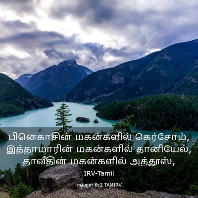 Picture 03 - எஸ்றா 8:2 TAMIRV - பினெகாசின் - Bible Verse Picture